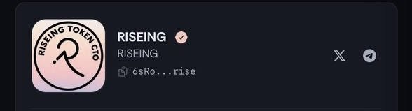 RISEING.SOL tweet media