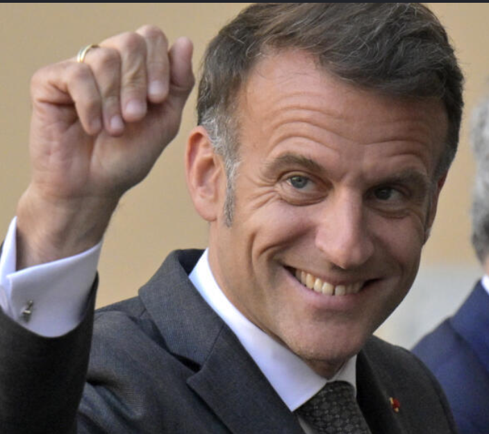 PhoqueTwitch tweet media