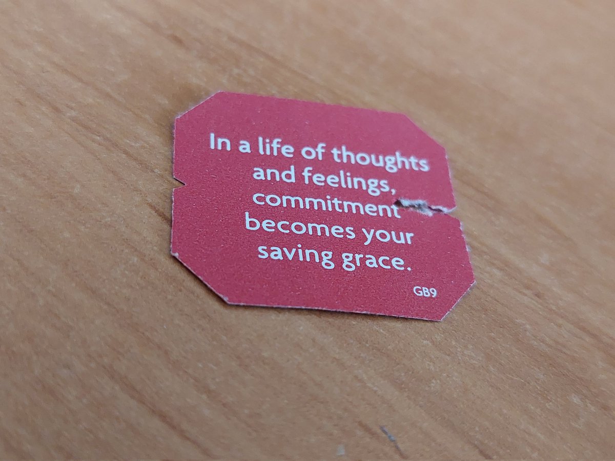 Morcath | Serênia 𓍲 (@morcath) on Twitter photo 