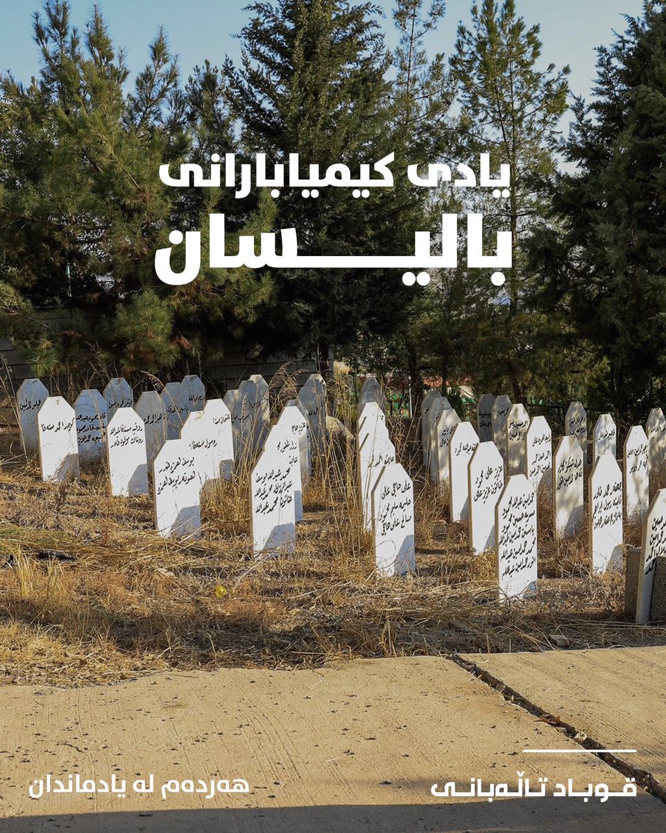 Qubad Talabani tweet media