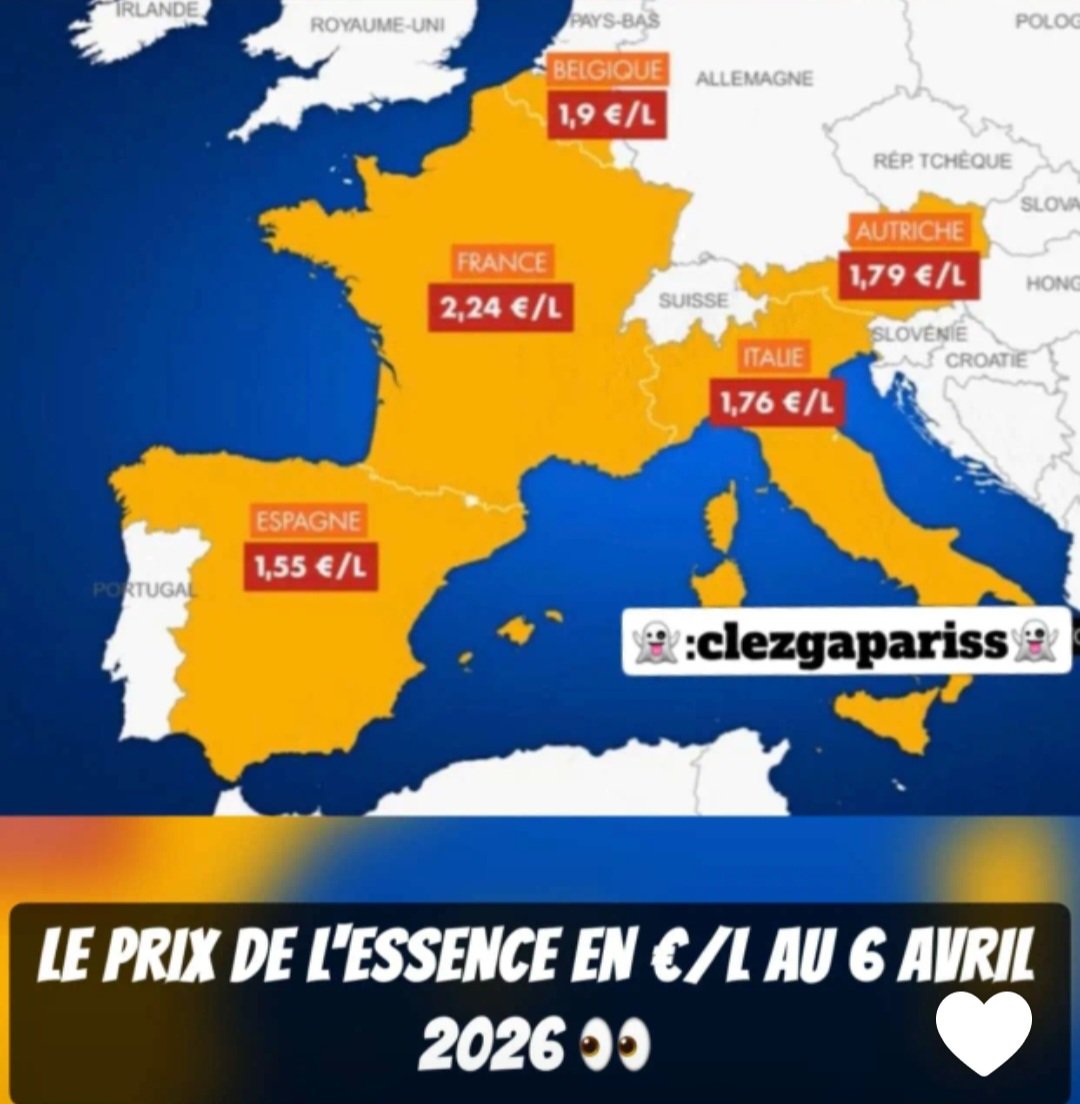 Sandraphalicia tweet media