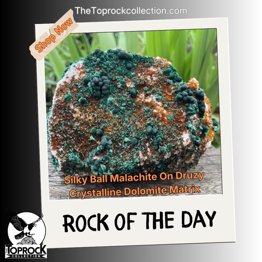 thetoprockcoll's tweet photo. Rock of the Day ๐
Silky Ball Malachite on Druzy Dolomite - Congo
Gorgeous chatoyant green spheroids and fans on sparkling drusy matrix.
One of the best from the 2024 pocket!
Link https://t.co/sbmnsy0ITg
#Thetoprockcollection #Malachite #CongoMinerals #RareSpecimens #ๅญ้็ณ https://t.co/tgriMaNxL2