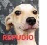 Sonia buceta tweet media