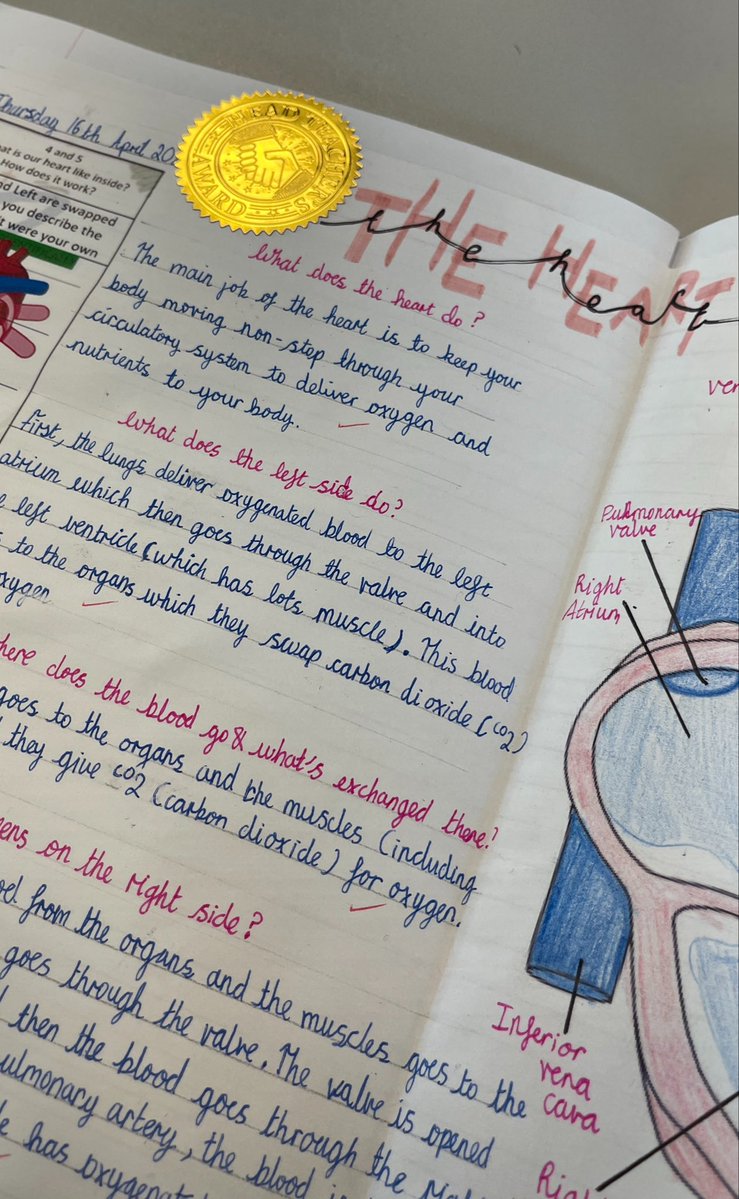 MarshfieldPS's tweet image. Following their workshop, the children in Amanda Gorman class produced some stellar work on the heart to consolidate their learning! #Ambition #MPSScience #WowWork