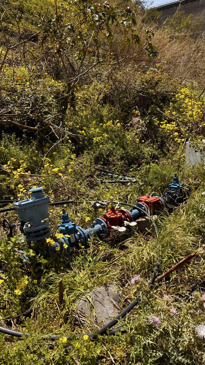 Unidad de control Canaragua style