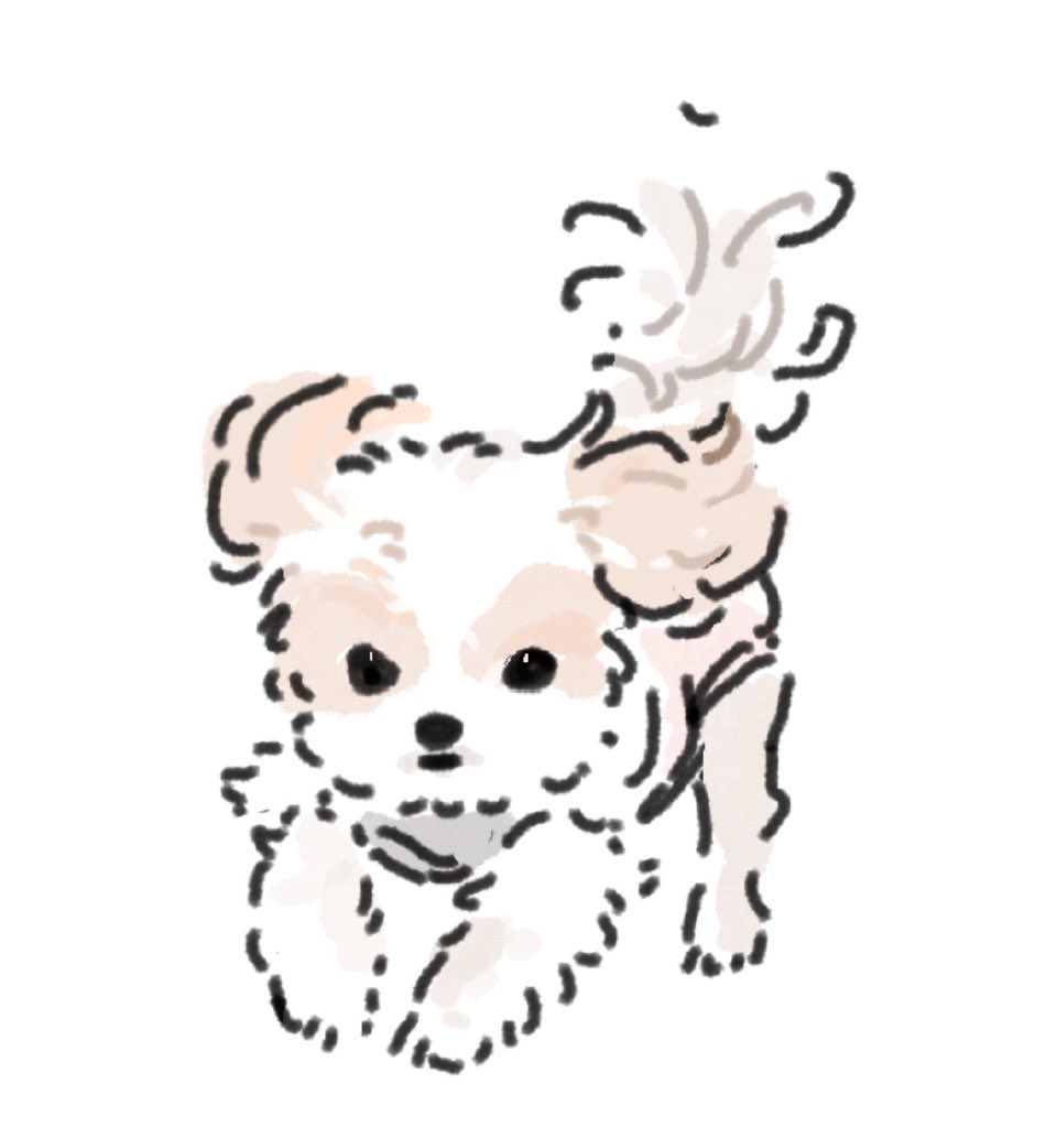 hazeloey tweet media