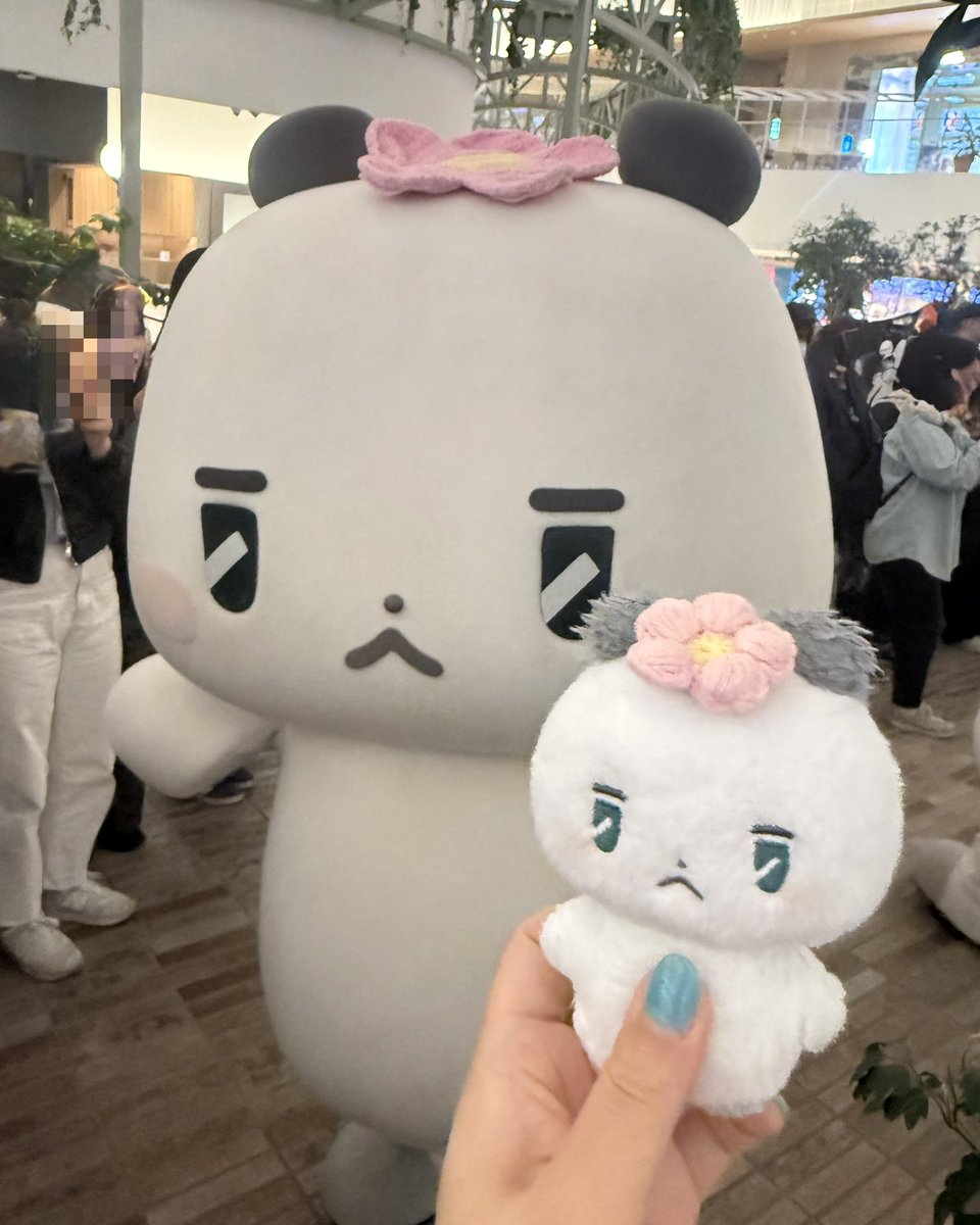 볼이🐈‍⬛ tweet media