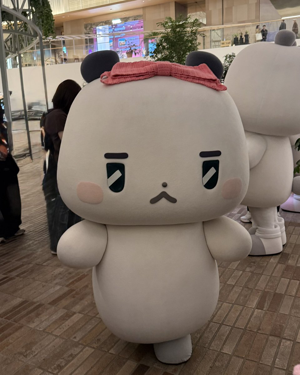 볼이🐈‍⬛ tweet media