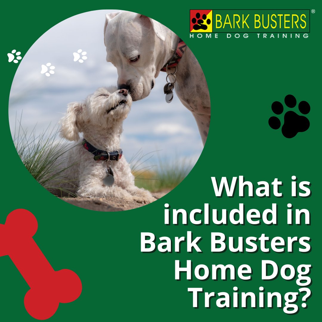 barkbusterla's tweet image. Struggling with barking, jumping, or leash pulling? It doesn’t have to be your “normal.” Bark Busters Greater Los Angeles brings expert in-home dog training right to you

🌐 barkbusters.com/dog-training/g…

#BarkBusters #DogTrainingLA #DogTrainingTips #InHomeDogTraining #BetterBehavior