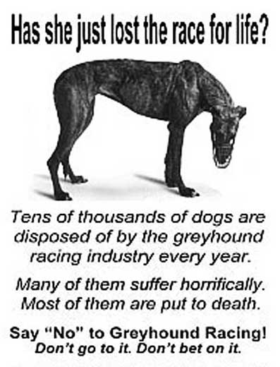 Leen Neus tweet media