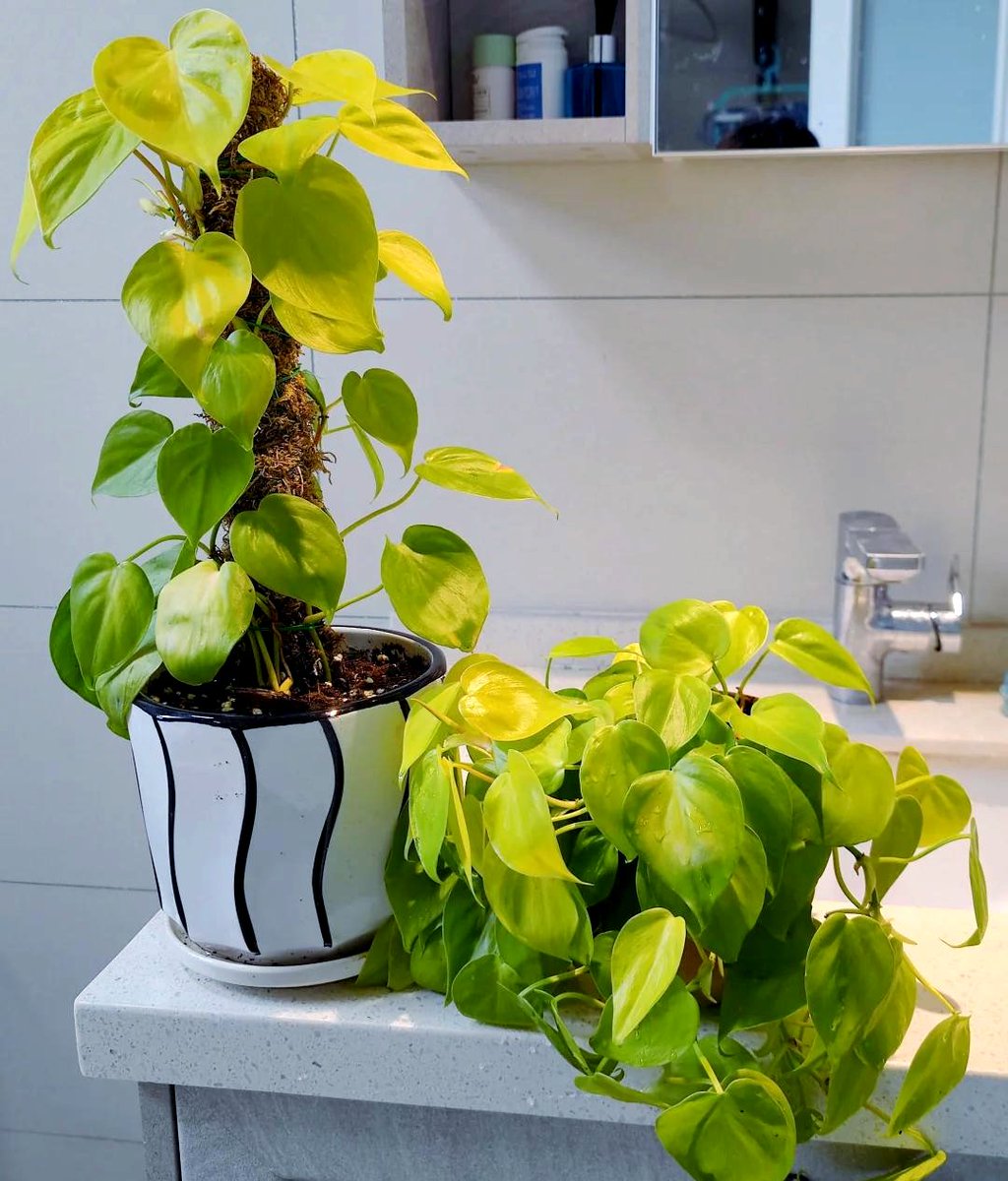 HBCnergy tweet media