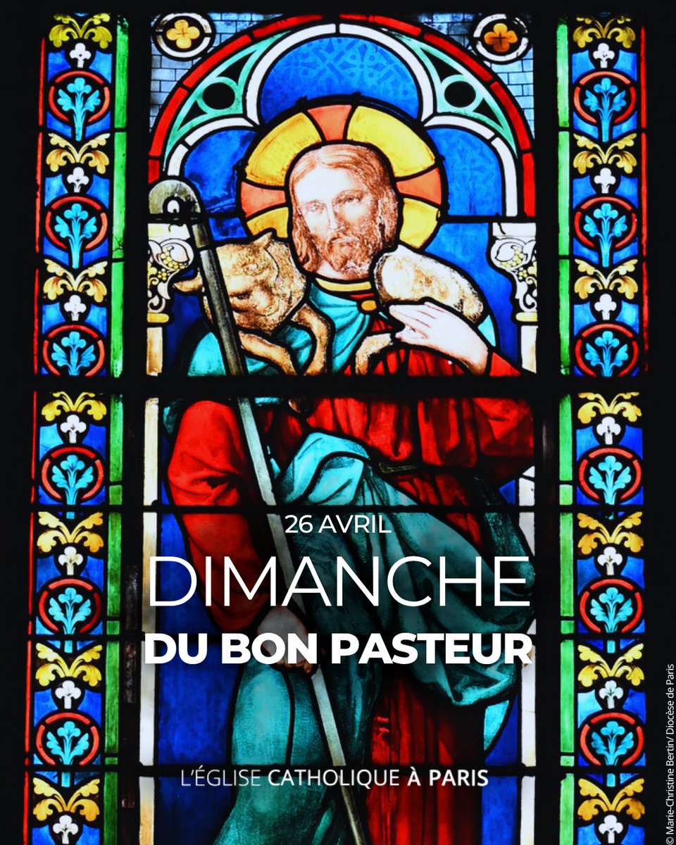 Diocèse de Paris tweet media