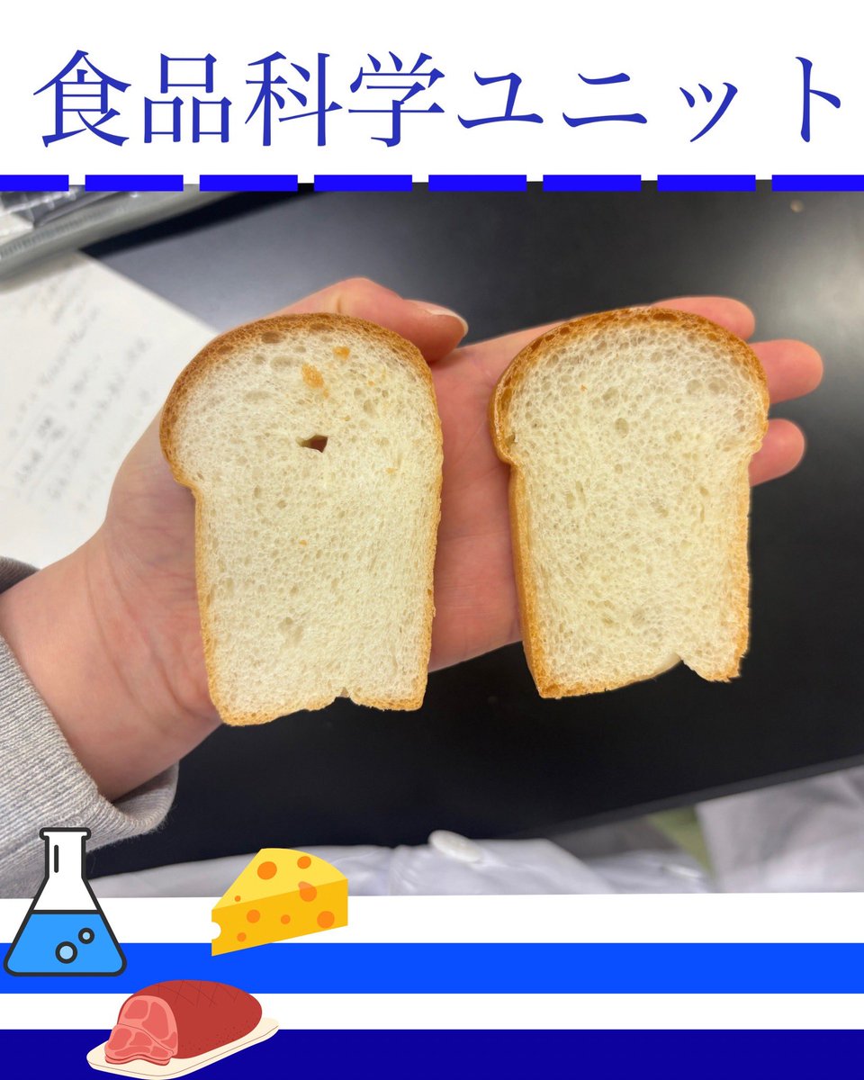 帯広畜産大学アメフト部 COWBOYS tweet media