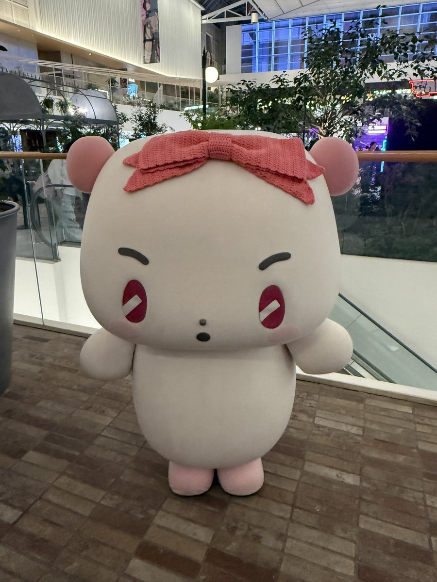 볼이🐈‍⬛ tweet media