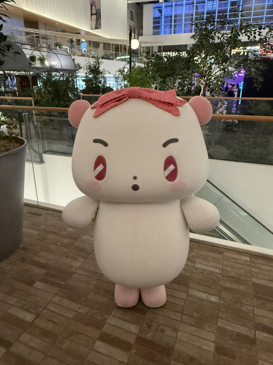 볼이🐈‍⬛ tweet media