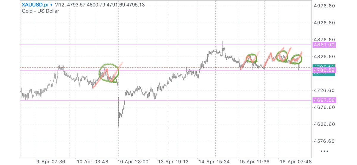 フェリー tweet media