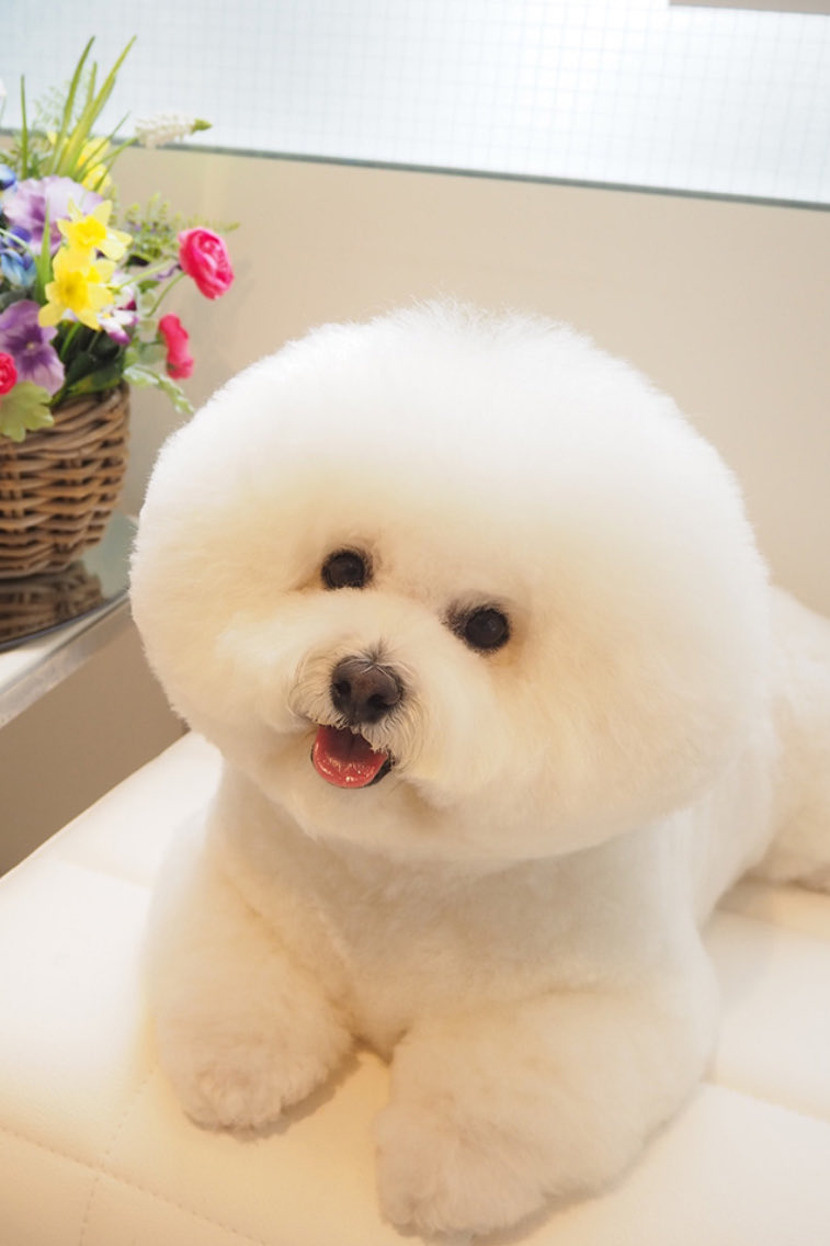 フェリー tweet media