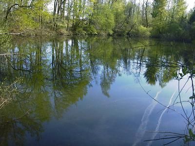 france_images's tweet image. For sale wooded land with fishing lake Piegut-Pluviers, Dordogne buff.ly/HuaH0wO 

#France 🇫🇷 #FranceProperty #FrenchProperty #FrenchRealEstate #PropertyForSale