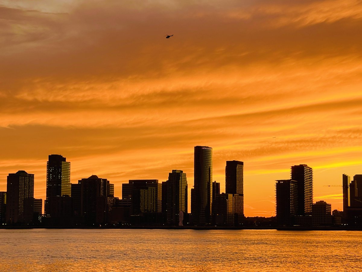 SkyVectorX✈️ tweet media