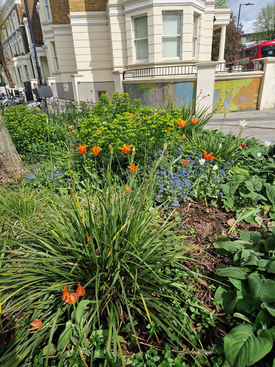 Cllr Regan Hook 🌹 tweet media