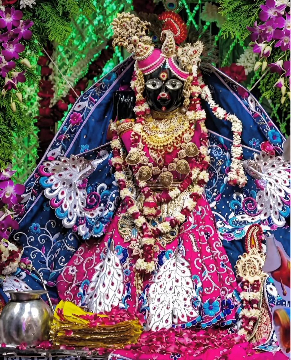 Thakur Shri Bankey Bihari Ji Vrindavan tweet media