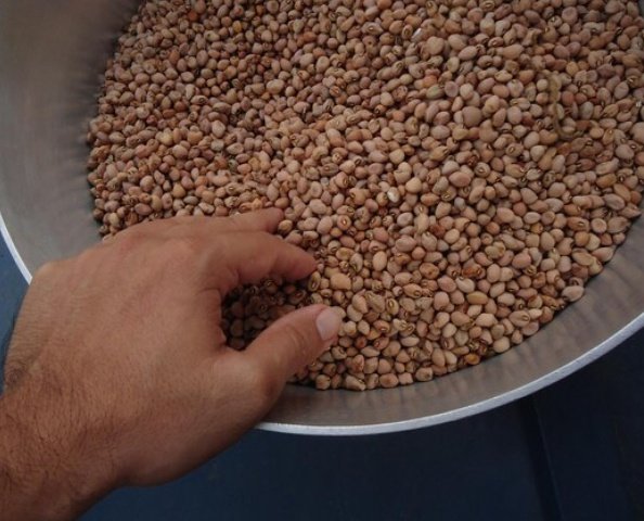 AltairBebe's tweet photo. En el mercado cuando metes la mano en la tina de los frijoles. https://t.co/wEHgx8jdf4