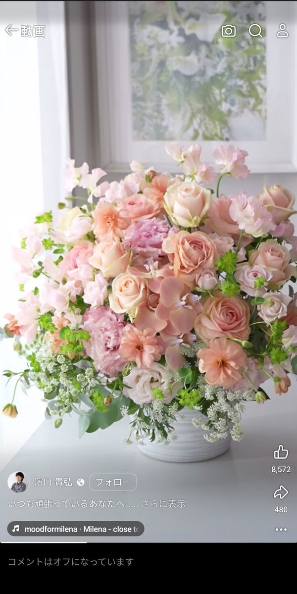 やっちゃん　アルコールはドクターストップ中 tweet media