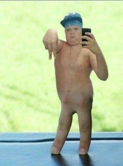 FauxBoxFox tweet media