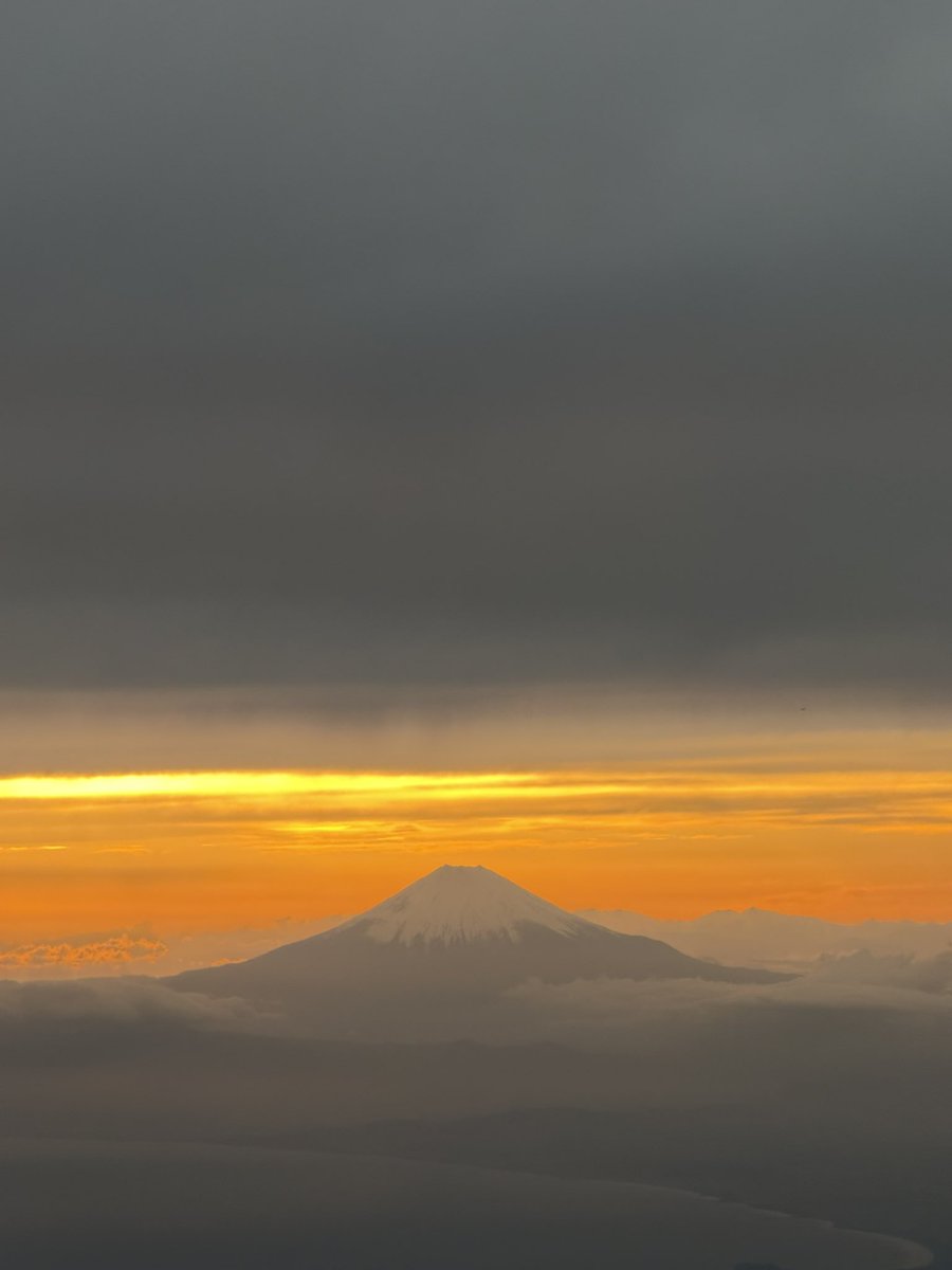色川冬馬｜著書「たったひとりの独立リーグ野球改革」を出版🎉 tweet media