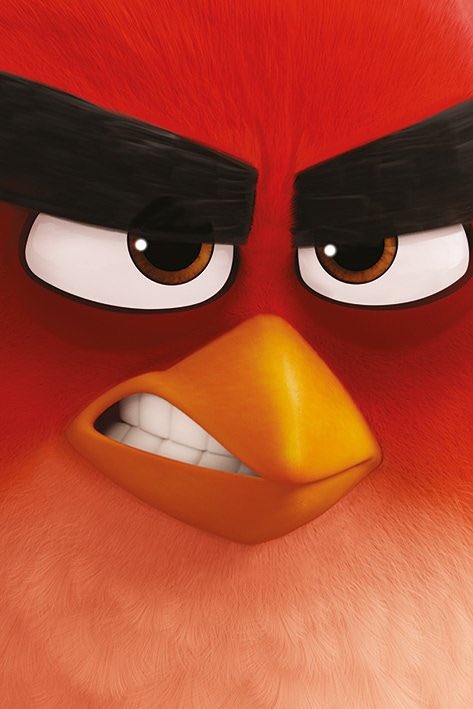 Angry Birds 3 Movie News tweet media