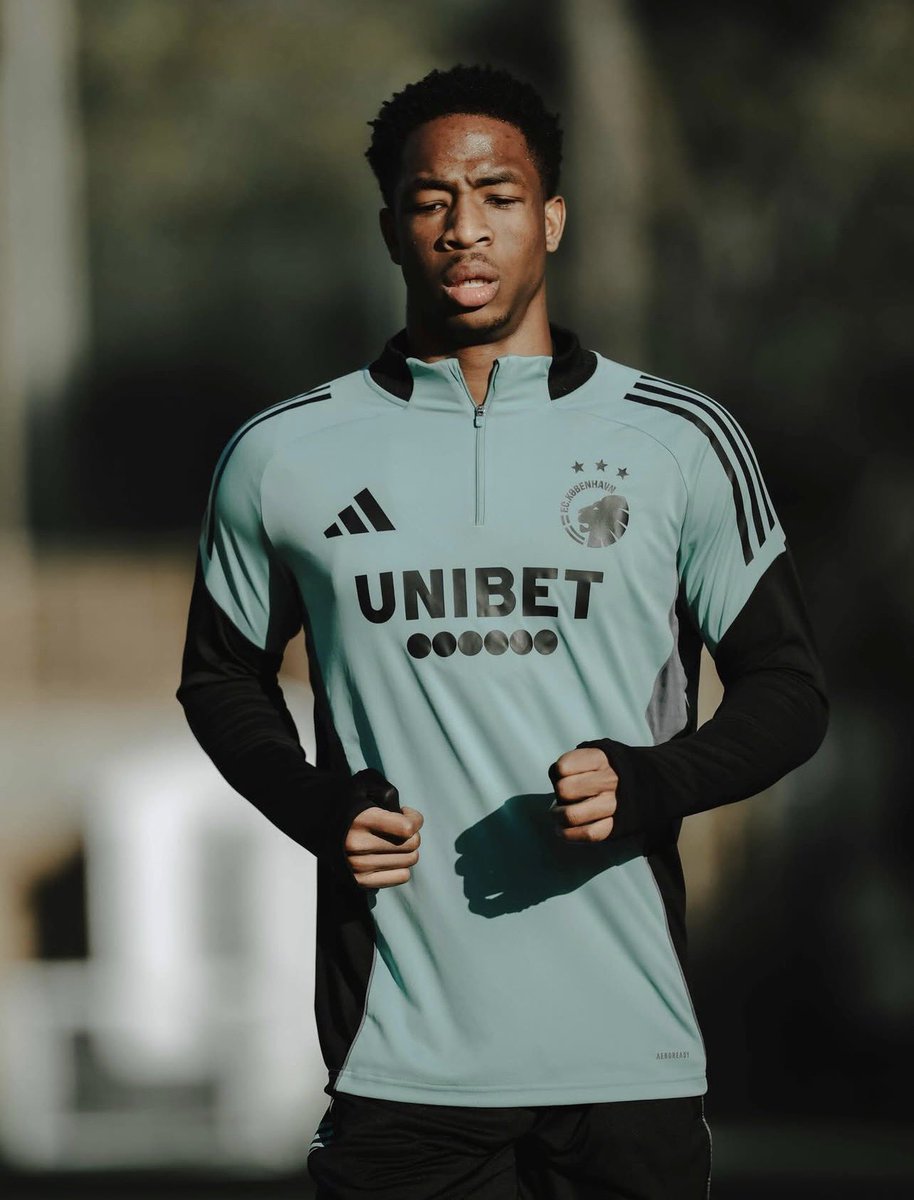 AllezLesLions tweet media