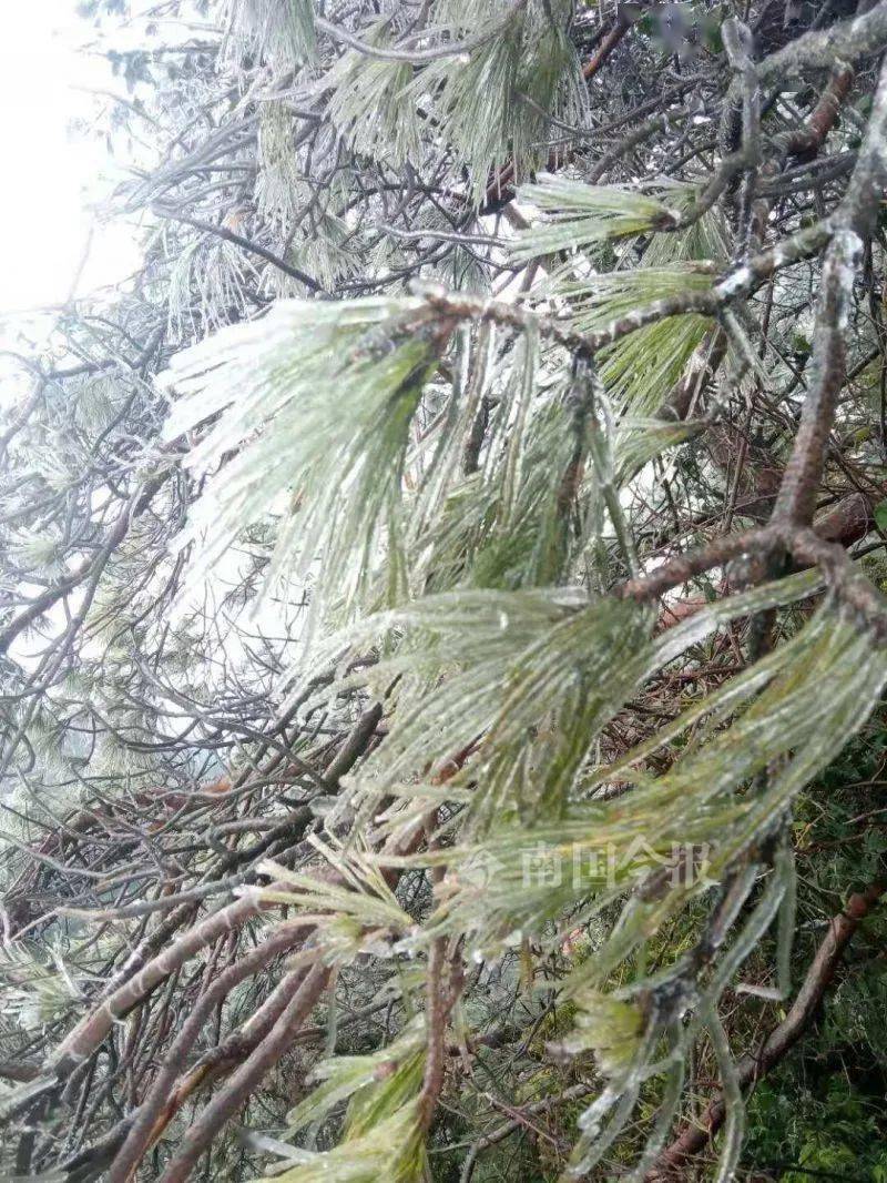 Minnie Mouse tweet media