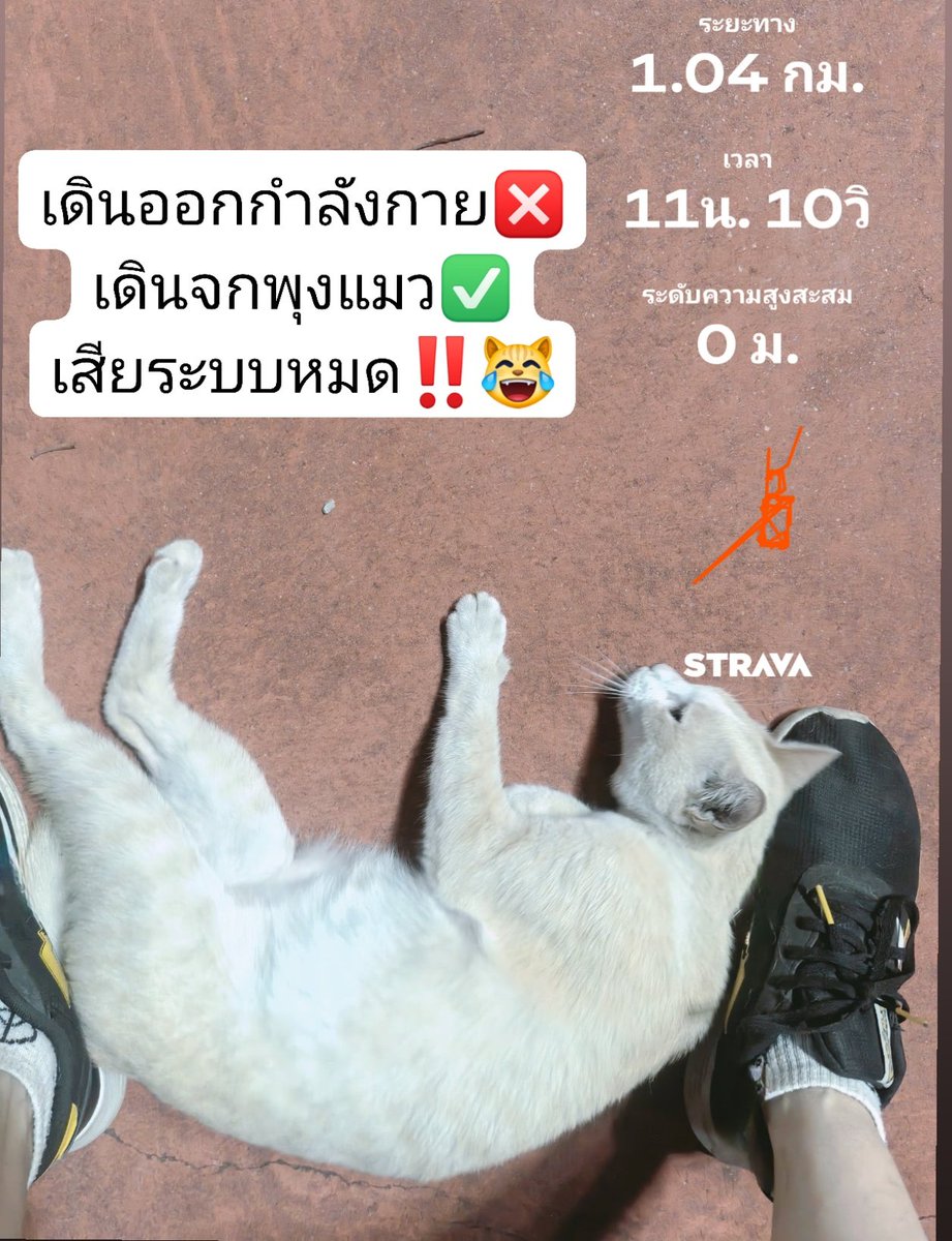 พื้นที่เซฟโซน🎭 tweet media