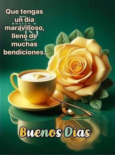 quione 마페 tweet media