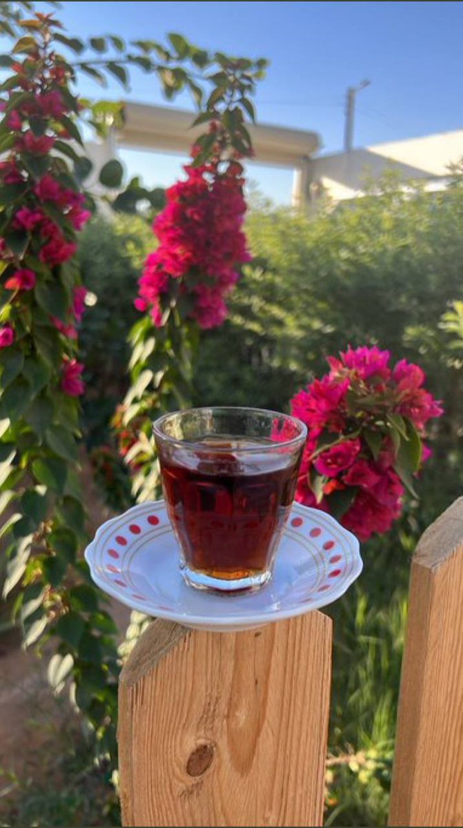 جدتكن امجيزانيه tweet media