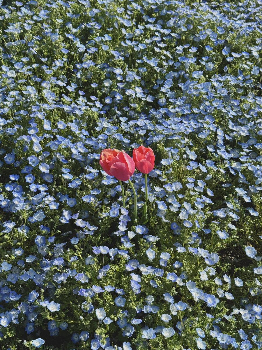 りゅう tweet media