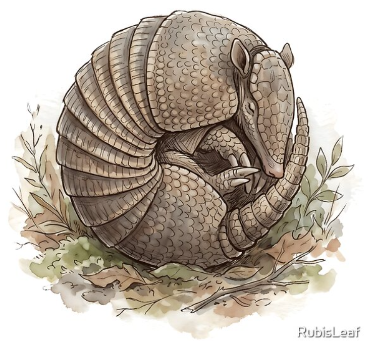 modekai_shop's tweet image. #armadillo #ninebandedarmadillo #wildlife #nature #animal #defense #curledup #armor #shell #forestfloor #southwestern #desert #woodland #wild
redbubble.com/i/t-shirt/Arma…