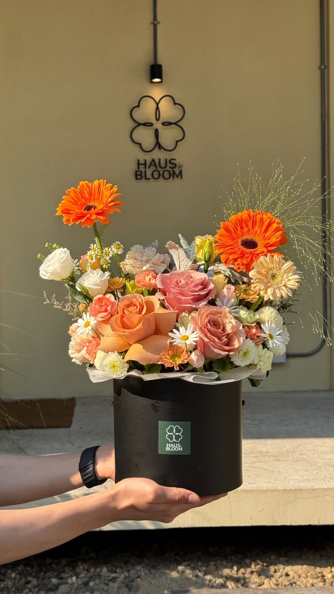 ANTON LEE UPDATES tweet media