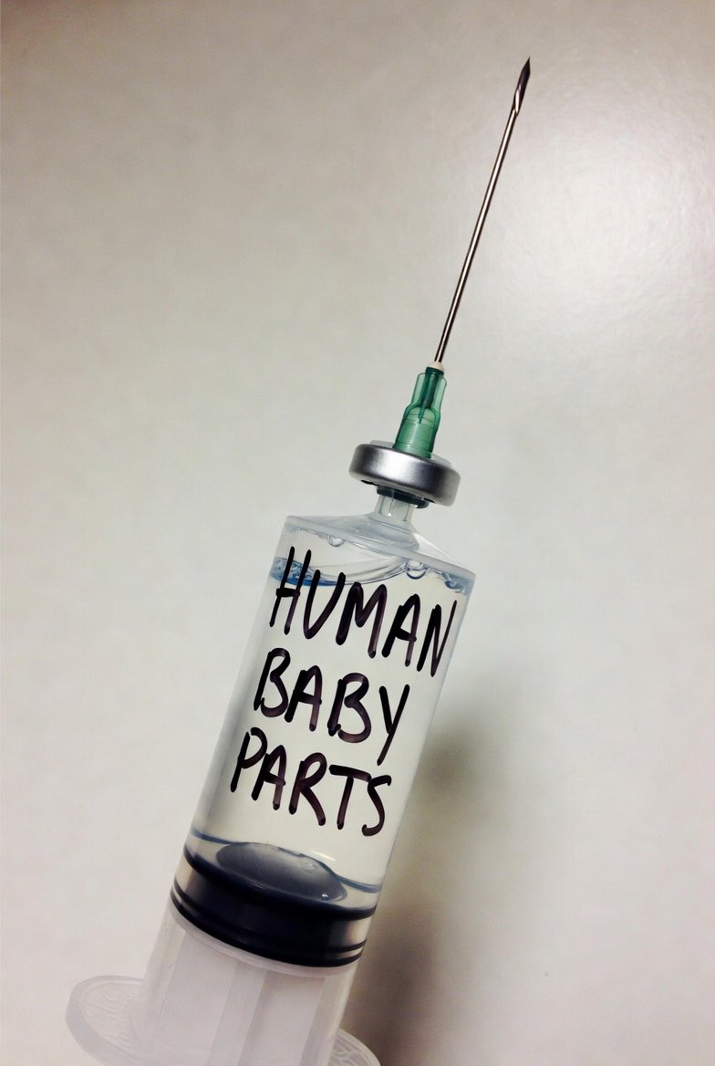 🚨 **SHOCKING ALERT** 🚨  WARNING 

if you REFUSE to inject ABORTED BABY PARTS or PIG GELATIN straight into your BODY … you NEED to see this RIGHT NOW!  

These vaccines are secretly grown in DEAD HUMAN FETUS CELLS from the 1960s – WI-38 and MRC-5 lines – and YES, that includes