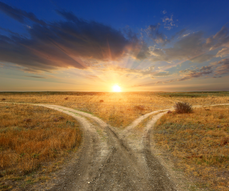 HealthCoachSara's tweet image. Fork in the Road - How to Meet Change Without Stress.
It happens to all of us. A fork in the road can be a time when change comes, whether we are ready or not, and we have no choice but to meet the change in front of us. 
directions4wellness.com/fork-in-the-ro…
#Stress #Change
