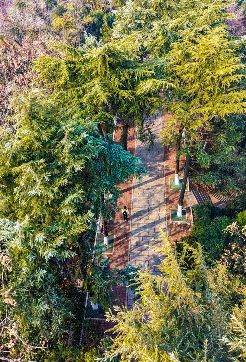 samuel elias mejia tweet media