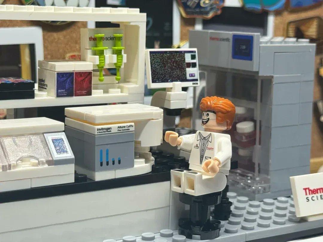 سوسو محمد tweet media