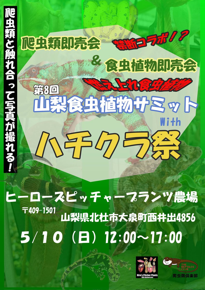 hiros-pp@5/9-10食虫サミット tweet media