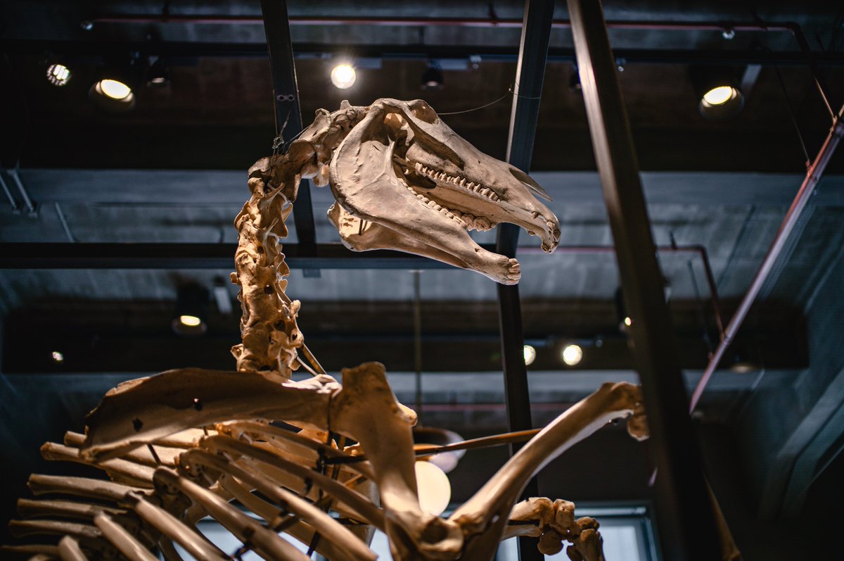 岡田　𝓁ℯ𝓃 tweet media