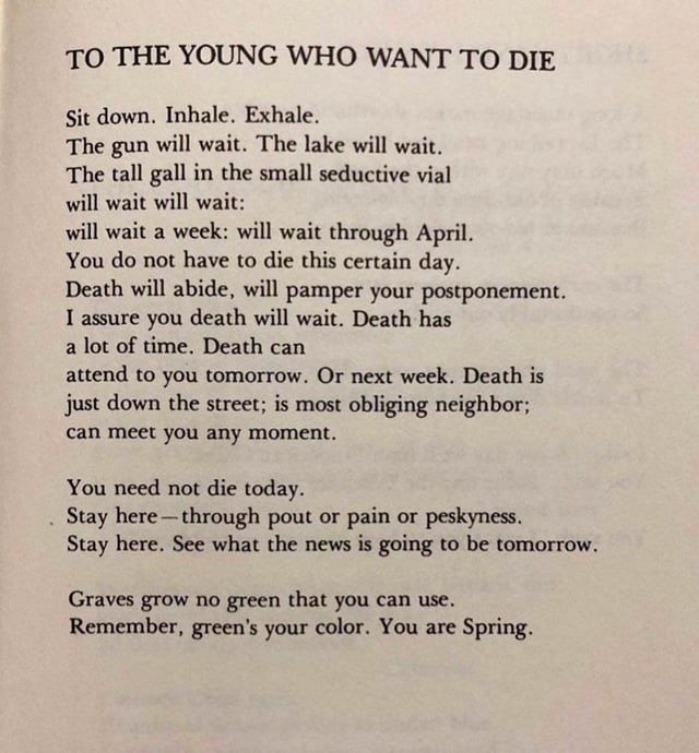 bels / 佩 tweet media