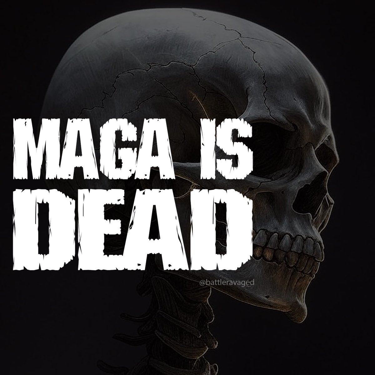 BattleRavaged 🏴‍☠️⚡️ tweet media