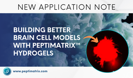 PeptiMatrix's tweet photo. Better brain models need better environments. PeptiMatrix hydrogels create defined, tuneable systems that better mimic neural tissue, improving relevance, reproducibility, and drug testing outcomes.

Read more: https://t.co/JG0SzMGFx2
#Neuroscience #DrugDiscovery #3DCellCulture https://t.co/nmACdOe4Mu