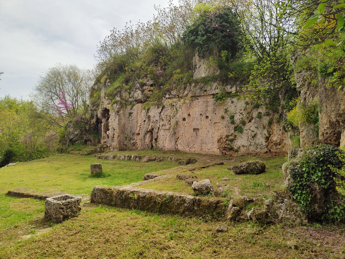 Palaumede tweet picture