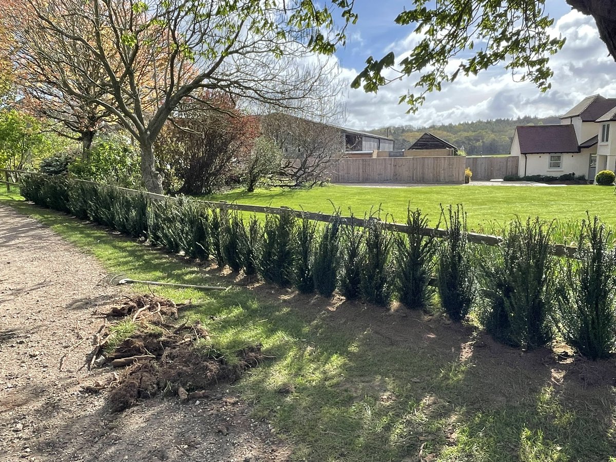 carl reevess tweet media