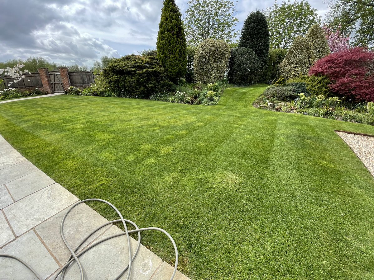 carl reevess tweet media